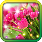Spring Flowers live wallpaper icon