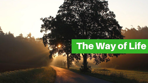 Android application The Way Of Life screenshort