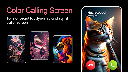 Phone Caller ID Screen Themes Unknown