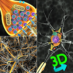 Cover Image of Download 3D Biology +  APK