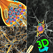 3D Biology + - Androidアプリ