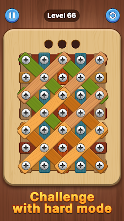 Game screenshot Screw Challenge: Nuts & Bolts apk download