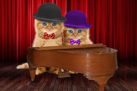 Talking Cats For PC 3