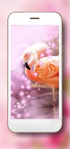 Flamingo HD