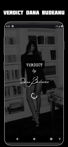 Verdict Dana Budeanu Screen 2