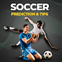 Soccer Prediction & Live Tips