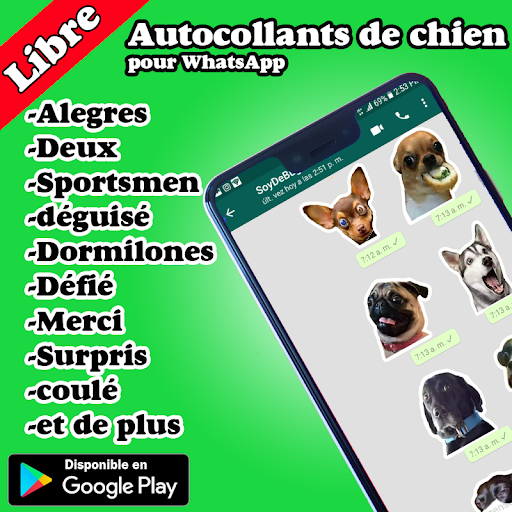 Aperçu de l'application