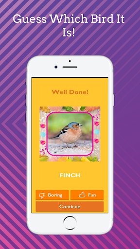 Guess Which Bird It Is! Screen 2