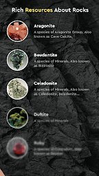 Rock Identifier by Photo - Screenshot Image