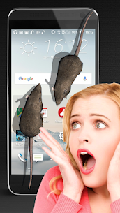 Mouse on Screen Scary Joke – iMouse For PC installation