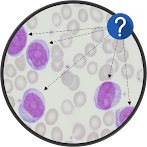 HematoQuiz Quiz de Hematología
