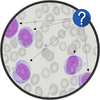 HematoQuiz Quiz de Hematología
