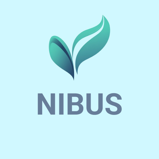 Nebus – Financial Companion Download on Windows