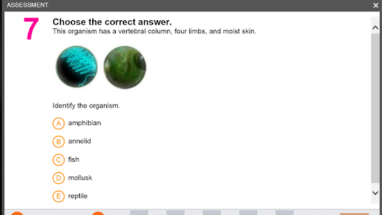 Classification of Animals(圖6)-速報App