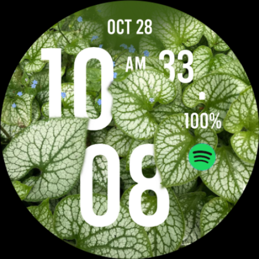 Botanical Watch Face logo