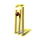 PTV SPORTS LIVE HD Download on Windows