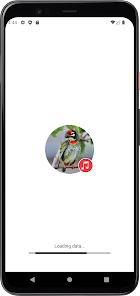 Imágen 1 Sonidos de pájaro de la barbet android