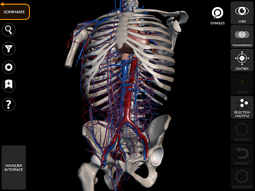 Anatomie - Atlas 3D screenshot 12