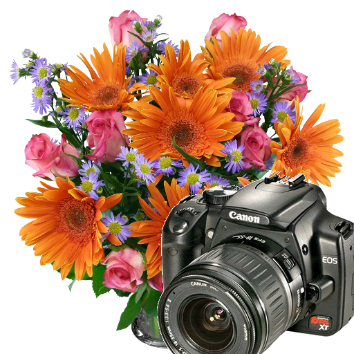 Flowers Frames Camera  Icon