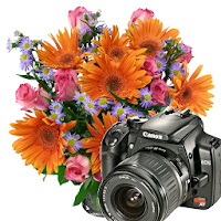 Flowers Frames Camera