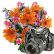 Flowers Frames Camera