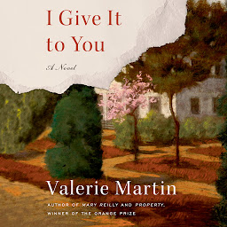 Obraz ikony: I Give It to You: A Novel