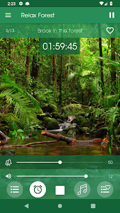 Relax Forest – Nature sounds: sleep & meditation 4