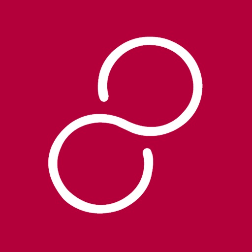 BV Link logo