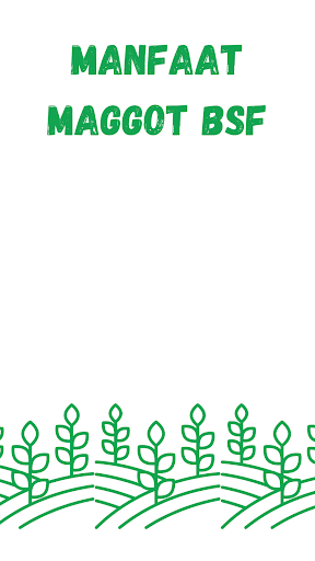 Android application Cara Usaha Budidaya Maggot screenshort