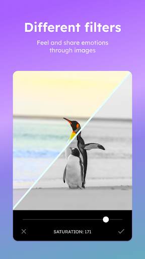 LitePic – Photo Editor