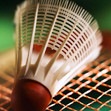 Badminton Wallpapers icon