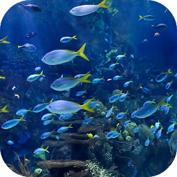 Gambar ikon Aquarium 4K Video Wallpaper