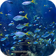 Aquarium 4K Video Wallpaper Download on Windows