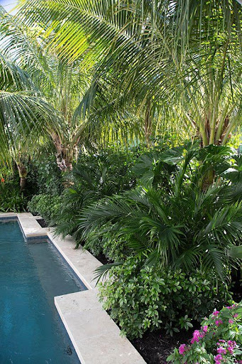 Swimming Pool Landscaping Screen 2