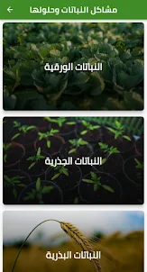 مشاكل النباتات وحلولها