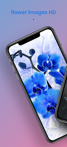 Android application flower images HD screenshort