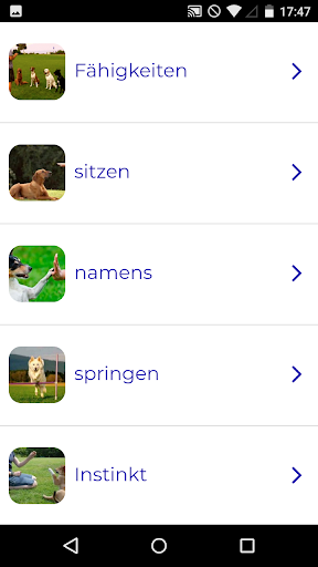 App-Vorschau