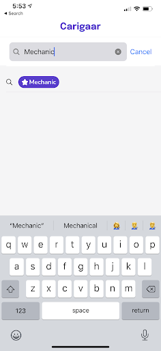 Carigaar Screen 2