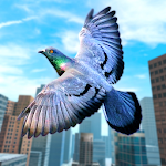 Cover Image of ดาวน์โหลด Wild Pigeon Birds Simulator 3D  APK