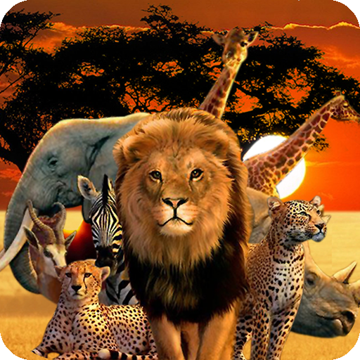 Animals Quiz Wild Creatures  Icon