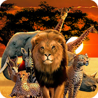 Animals Quiz Wild Creatures