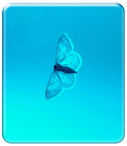 Blue Wallpaper HD Screen 2