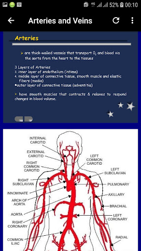 Peripheral Vascular Diseases PVD and Management