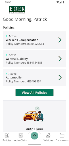 Boer Insurance Group Screen 2