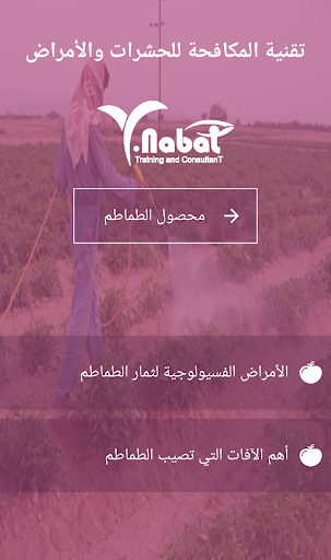 برنامج المستشار