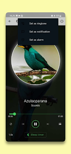 Coleção de Aves Brasileiras
