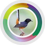 Top 48 Books & Reference Apps Like How to Care for Birds of Magpie Stone - Best Alternatives