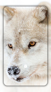 Wolf Wallpaper HD : background  screenshots 1