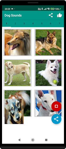 Dog Video Creator (Dog Sounds) screenshot 1