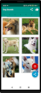 Dog Video Creator (Dog Sounds) スクリーンショット